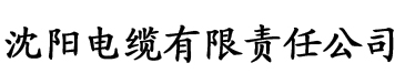 久久国产精品无码一区二区三区电缆厂logo